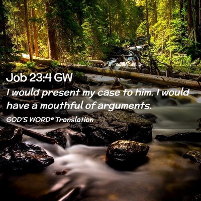 Picture 02 - Job 23:4 GW - I would present my case to him. I would have a - Bible Verse Picture