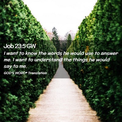 Picture 02 - Job 23:5 GW - I want to know the words he would use to answer - Bible Verse Picture