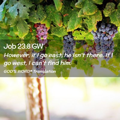 Picture 02 - Job 23:8 GW - However, if I go east, he isn’t there. If I go - Bible Verse Picture