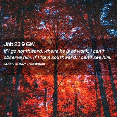 Picture 02 - Job 23:9 GW - If I go northward, where he is at work, I can’t - Bible Verse Picture