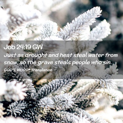 Picture 02 - Job 24:19 GW - Just as drought and heat steal water from snow, - Bible Verse Picture