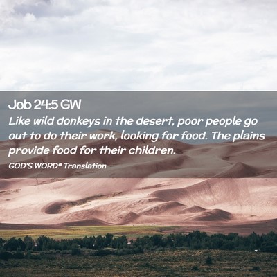 Picture 02 - Job 24:5 GW - Like wild donkeys in the desert, poor people go - Bible Verse Picture