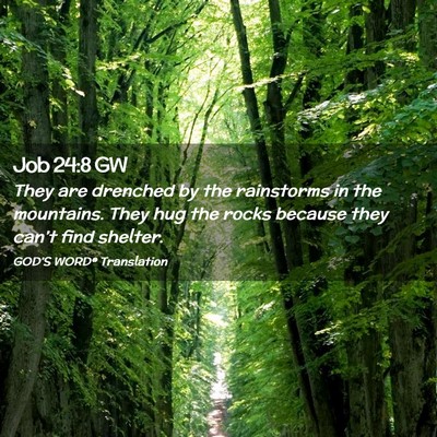 Picture 02 - Job 24:8 GW - They are drenched by the rainstorms in the - Bible Verse Picture