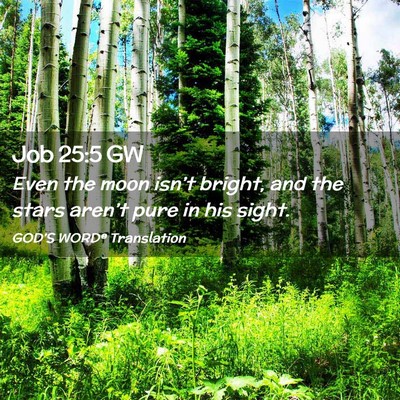 Picture 02 - Job 25:5 GW - Even the moon isn’t bright, and the stars - Bible Verse Picture