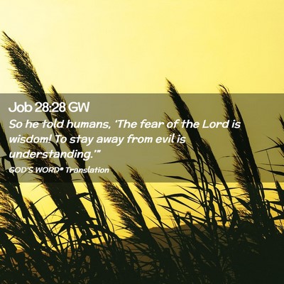 Picture 02 - Job 28:28 GW - So he told humans, ‘The fear of the Lord is - Bible Verse Picture
