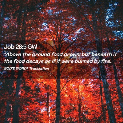 Picture 02 - Job 28:5 GW - “Above the ground food grows, but beneath it - Bible Verse Picture
