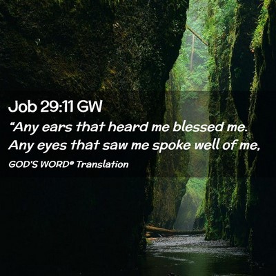 Picture 02 - Job 29:11 GW - “Any ears that heard me blessed me. Any eyes - Bible Verse Picture