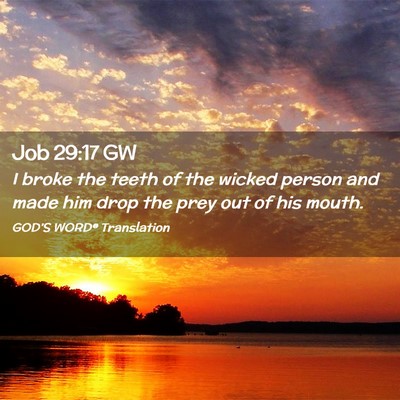 Picture 02 - Job 29:17 GW - I broke the teeth of the wicked person and made - Bible Verse Picture