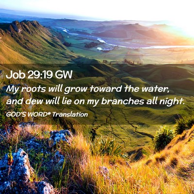 Picture 02 - Job 29:19 GW - My roots will grow toward the water, and dew will - Bible Verse Picture
