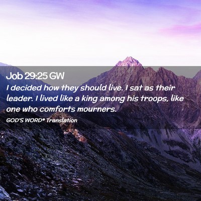 Picture 02 - Job 29:25 GW - I decided how they should live. I sat as their - Bible Verse Picture