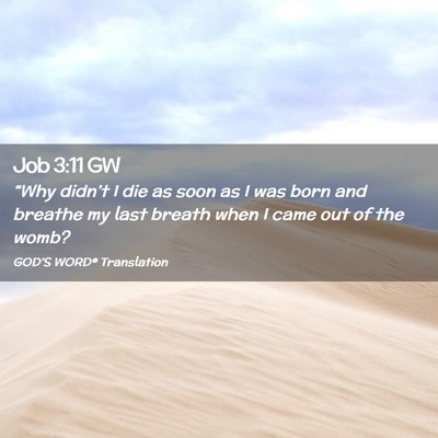 Picture 02 - Job 3:11 GW - “Why didn’t I die as soon as I was born and - Bible Verse Picture