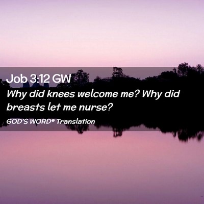Picture 02 - Job 3:12 GW - Why did knees welcome me? Why did breasts let me - Bible Verse Picture