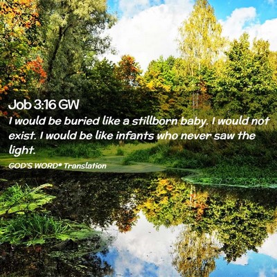 Picture 02 - Job 3:16 GW - I would be buried like a stillborn baby. I would - Bible Verse Picture
