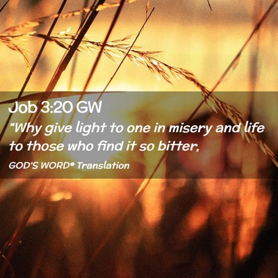 Picture 02 - Job 3:20 GW - “Why give light to one in misery and life to - Bible Verse Picture