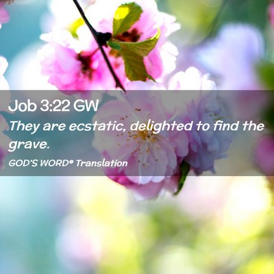 Picture 02 - Job 3:22 GW - They are ecstatic, delighted to find the - Bible Verse Picture