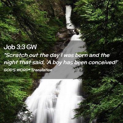 Picture 02 - Job 3:3 GW - “Scratch out the day I was born and the night - Bible Verse Picture