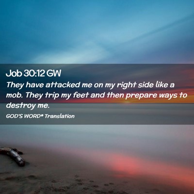 Picture 02 - Job 30:12 GW - They have attacked me on my right side like a - Bible Verse Picture