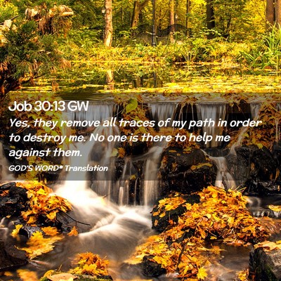 Picture 02 - Job 30:13 GW - Yes, they remove all traces of my path in order - Bible Verse Picture