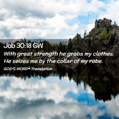 Picture 02 - Job 30:18 GW - With great strength he grabs my clothes. He - Bible Verse Picture