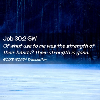 Picture 02 - Job 30:2 GW - Of what use to me was the strength of their - Bible Verse Picture