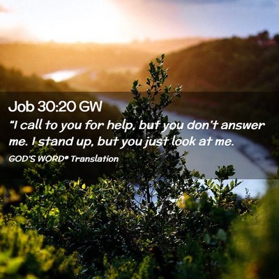 Picture 02 - Job 30:20 GW - “I call to you for help, but you don’t answer - Bible Verse Picture