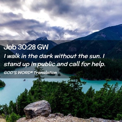 Picture 02 - Job 30:28 GW - I walk in the dark without the sun. I stand up in - Bible Verse Picture