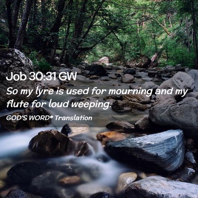 Picture 02 - Job 30:31 GW - So my lyre is used for mourning and my flute for - Bible Verse Picture