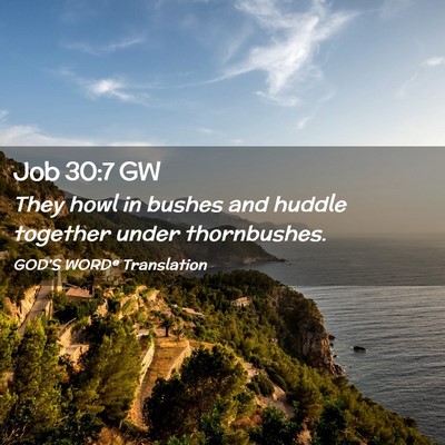 Picture 02 - Job 30:7 GW - They howl in bushes and huddle together under - Bible Verse Picture