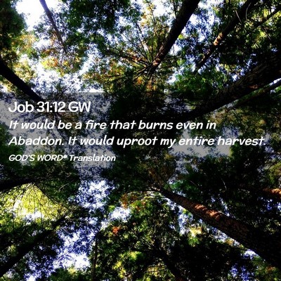 Picture 02 - Job 31:12 GW - It would be a fire that burns even in Abaddon. It - Bible Verse Picture