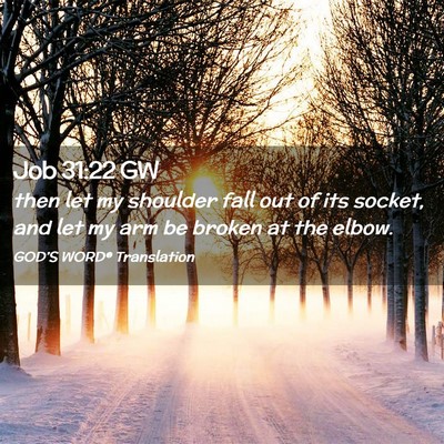 Picture 02 - Job 31:22 GW - then let my shoulder fall out of its socket, and - Bible Verse Picture