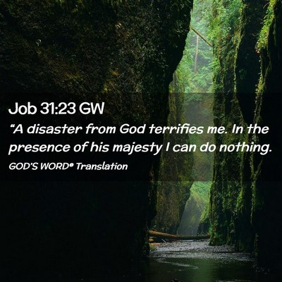 Picture 02 - Job 31:23 GW - “A disaster from God terrifies me. In the - Bible Verse Picture