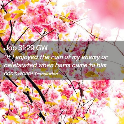 Picture 02 - Job 31:29 GW - “If I enjoyed the ruin of my enemy or - Bible Verse Picture