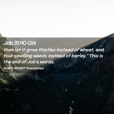 Picture 02 - Job 31:40 GW - then let it grow thistles instead of wheat, and - Bible Verse Picture
