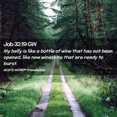 Picture 02 - Job 32:19 GW - My belly is like a bottle of wine that has not - Bible Verse Picture