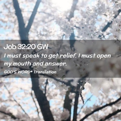 Picture 02 - Job 32:20 GW - I must speak to get relief. I must open my mouth - Bible Verse Picture