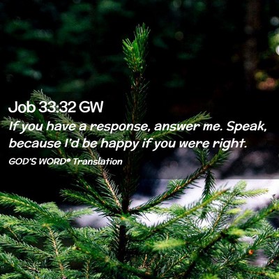 Picture 02 - Job 33:32 GW - If you have a response, answer me. Speak, because - Bible Verse Picture