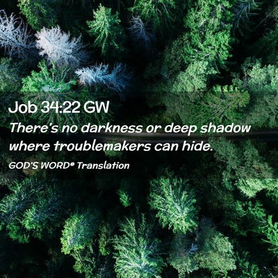 Picture 02 - Job 34:22 GW - There’s no darkness or deep shadow where - Bible Verse Picture