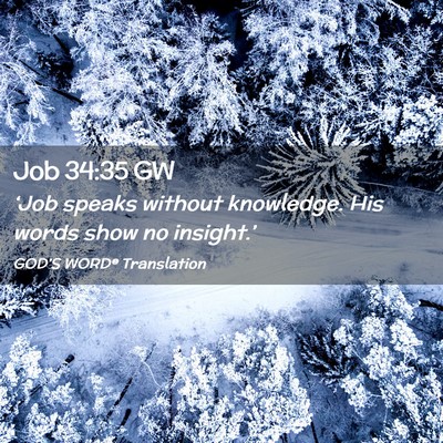 Picture 02 - Job 34:35 GW - ‘Job speaks without knowledge. His words show - Bible Verse Picture