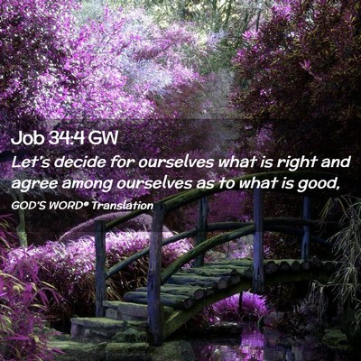 Picture 02 - Job 34:4 GW - Let’s decide for ourselves what is right and - Bible Verse Picture