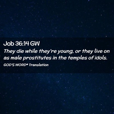 Picture 02 - Job 36:14 GW - They die while they’re young, or they live on - Bible Verse Picture