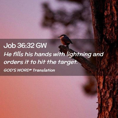 Picture 02 - Job 36:32 GW - He fills his hands with lightning and orders it - Bible Verse Picture