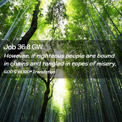 Picture 02 - Job 36:8 GW - However, if righteous people are bound in chains - Bible Verse Picture
