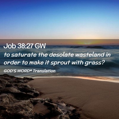 Picture 02 - Job 38:27 GW - to saturate the desolate wasteland in order to - Bible Verse Picture