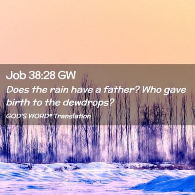 Picture 02 - Job 38:28 GW - Does the rain have a father? Who gave birth to - Bible Verse Picture