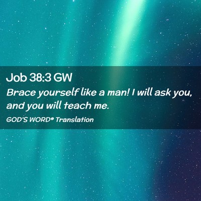Picture 02 - Job 38:3 GW - Brace yourself like a man! I will ask you, and - Bible Verse Picture