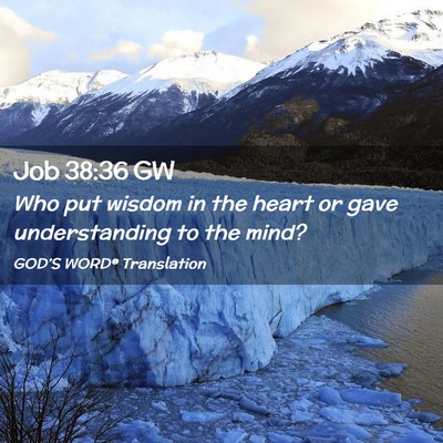 Picture 02 - Job 38:36 GW - Who put wisdom in the heart or gave understanding - Bible Verse Picture