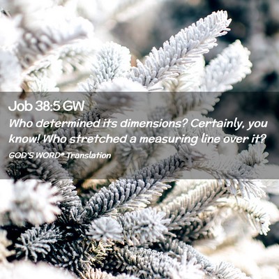 Picture 02 - Job 38:5 GW - Who determined its dimensions? Certainly, you - Bible Verse Picture