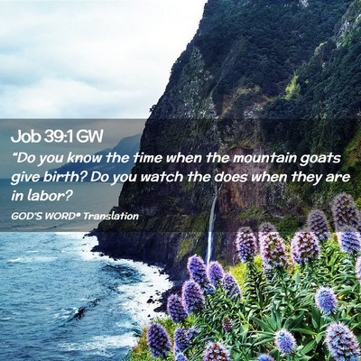 Picture 02 - Job 39:1 GW - “Do you know the time when the mountain goats - Bible Verse Picture