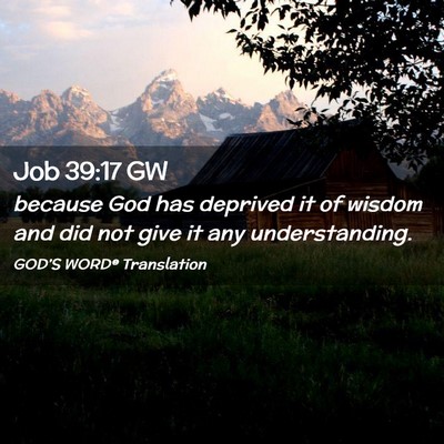 Picture 02 - Job 39:17 GW - because God has deprived it of wisdom and did not - Bible Verse Picture