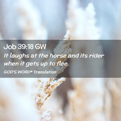 Picture 02 - Job 39:18 GW - It laughs at the horse and its rider when it gets - Bible Verse Picture